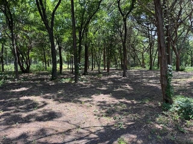 1.6 acres in Dallas County - photo 3