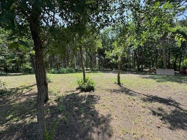 1.6 acres in Dallas County - photo 4