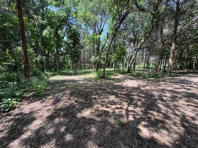 1.6 acres in Dallas County - photo 2