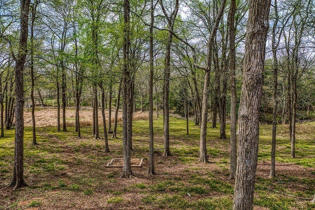 3.51 acres in Washington County - photo 29