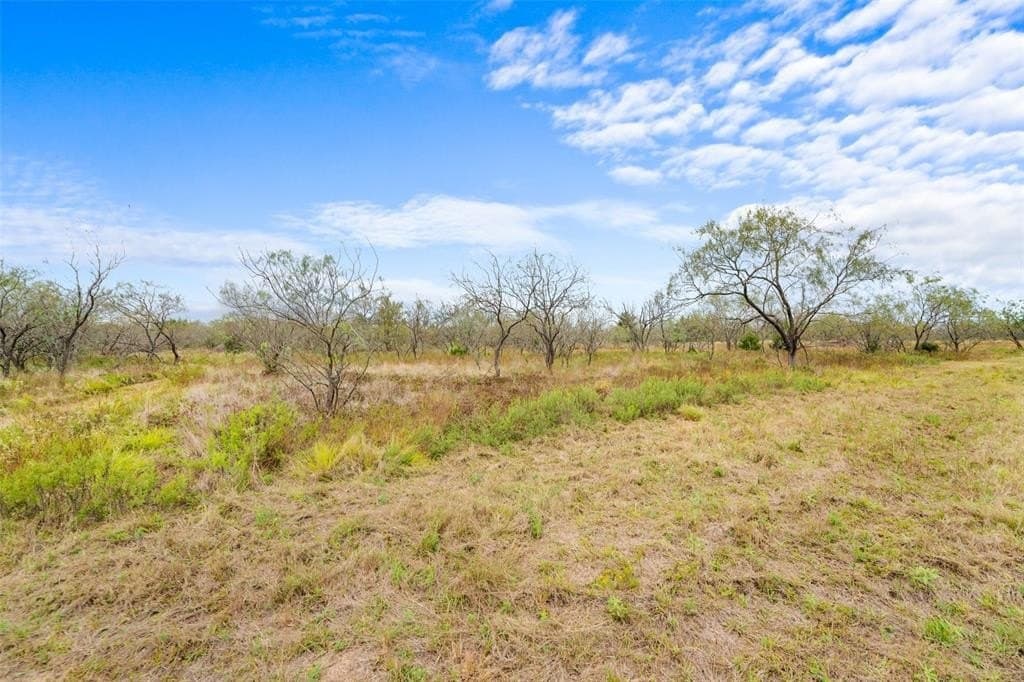 10 acres in Limestone County - photo 15