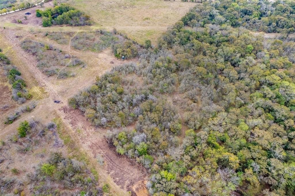 10 acres in Limestone County - photo 6