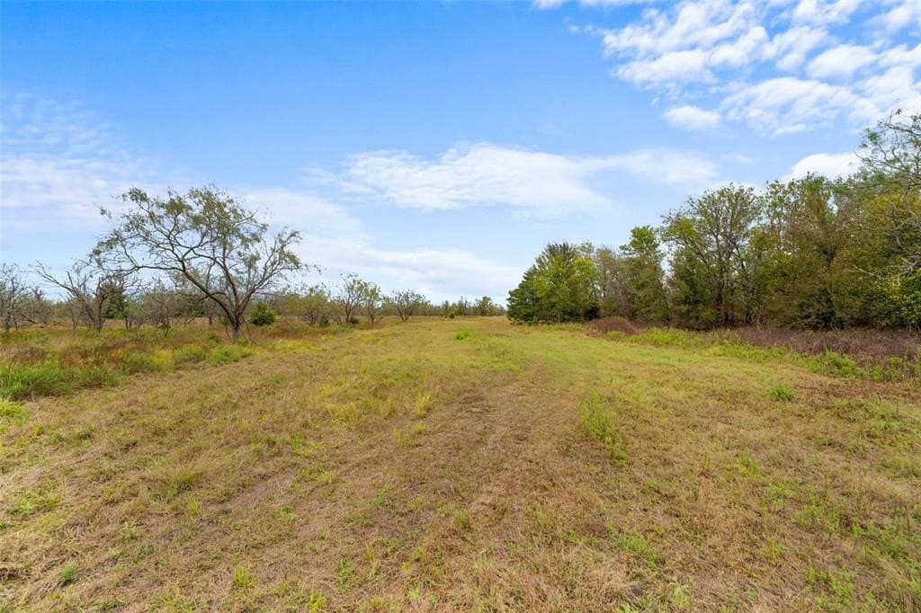 10 acres in Limestone County - photo 14