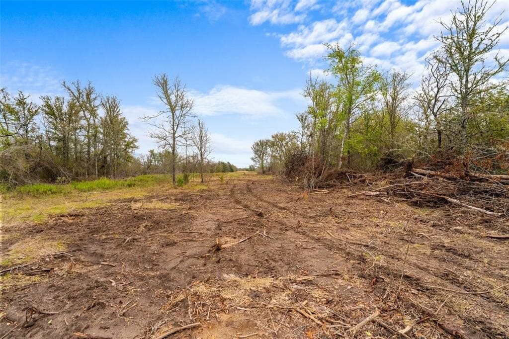 10 acres in Limestone County - photo 11