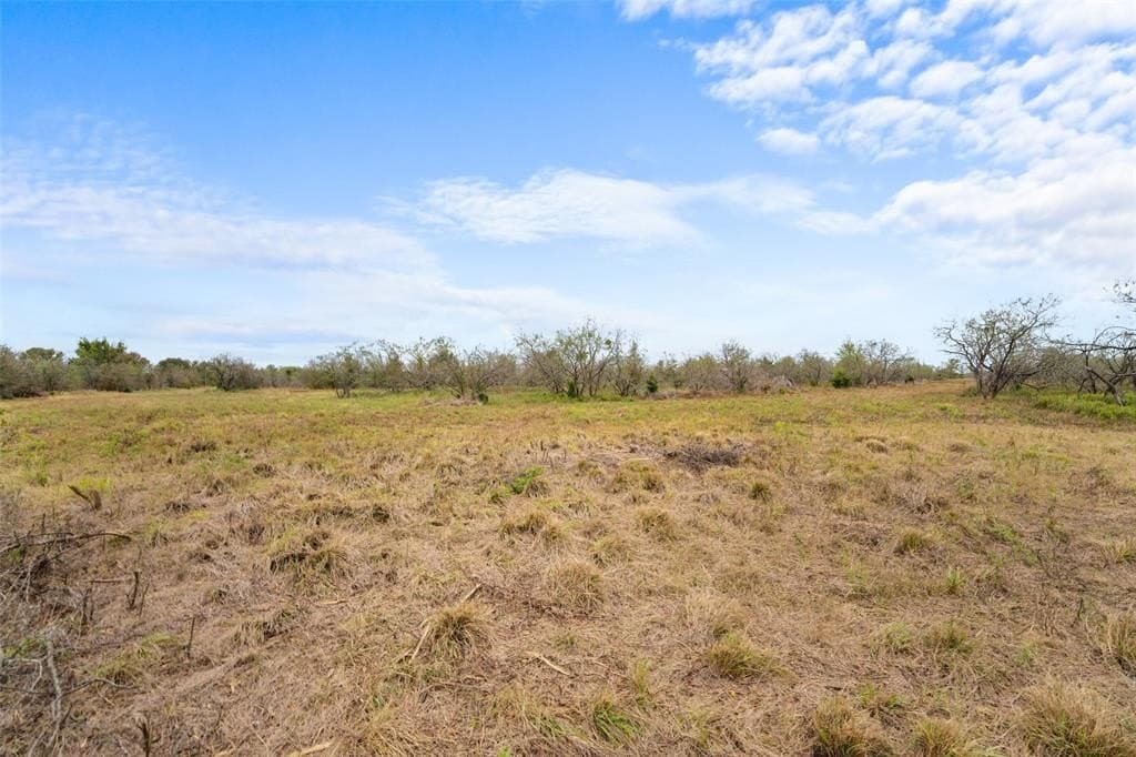 10 acres in Limestone County - photo 13