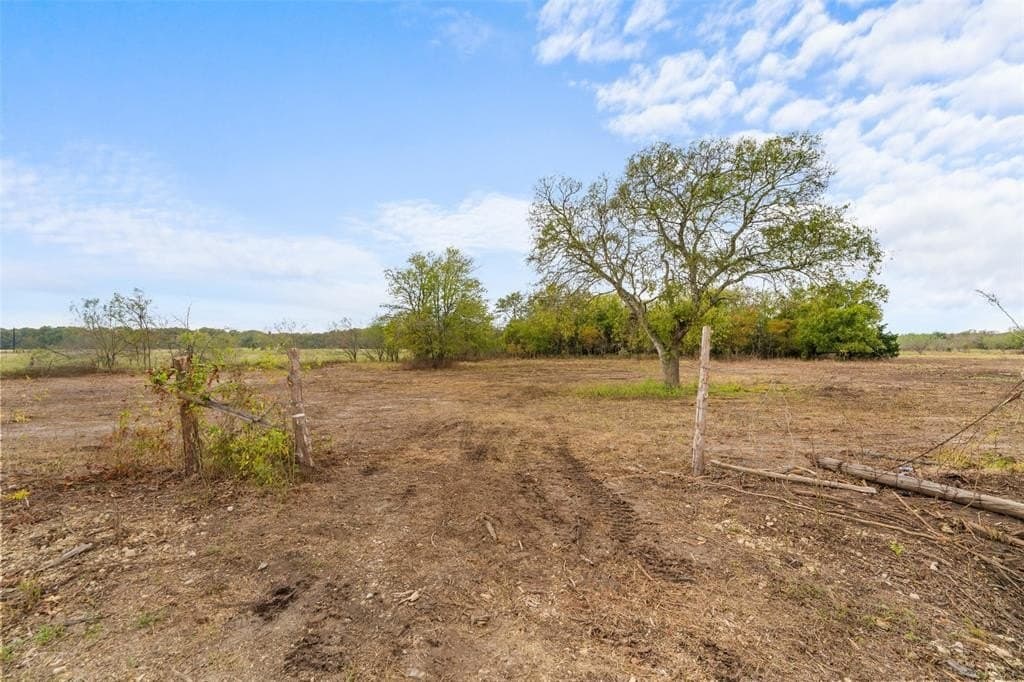 10 acres in Limestone County - photo 9
