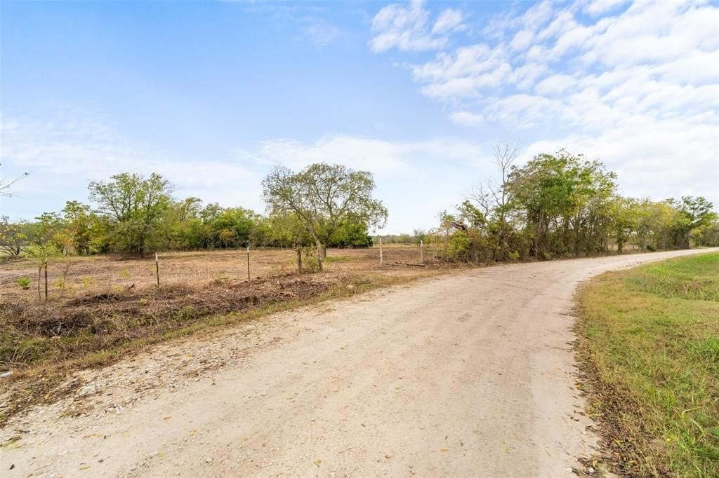 10 acres in Limestone County - photo 7