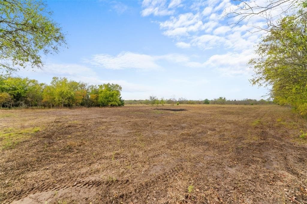 10 acres in Limestone County - photo 10