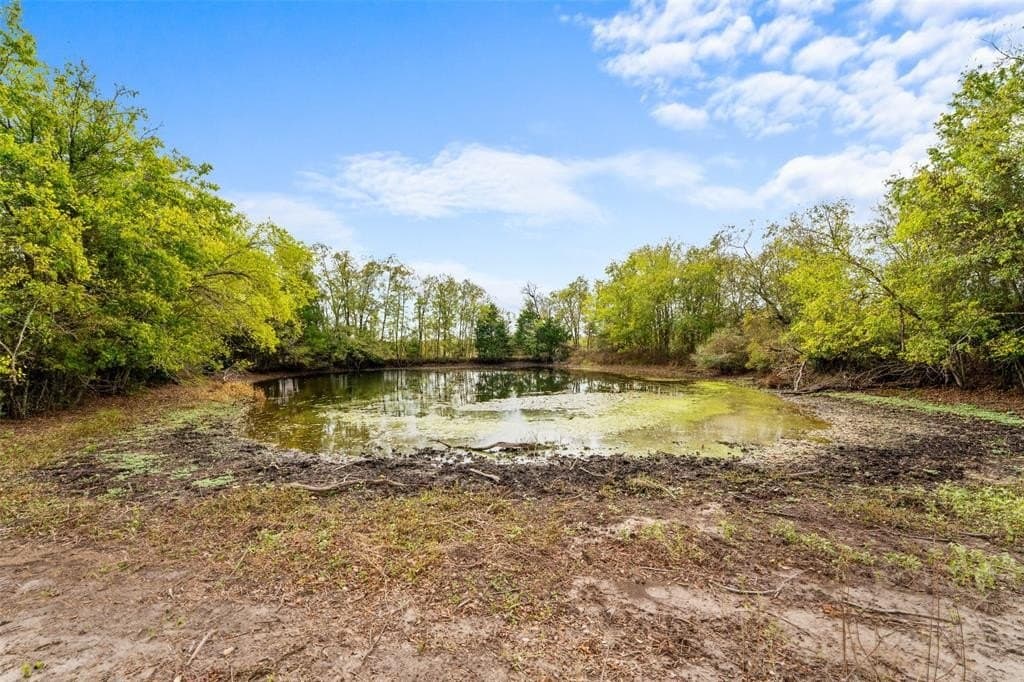 10 acres in Limestone County - photo 16