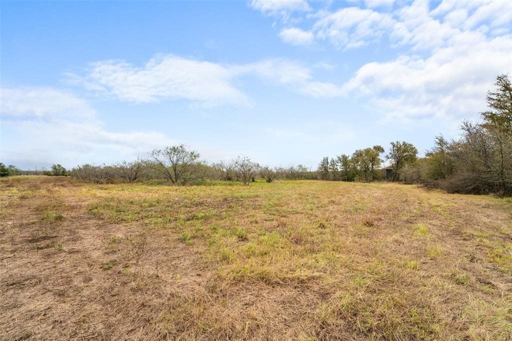 10 acres in Limestone County - photo 12