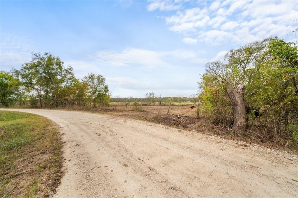 10 acres in Limestone County - photo 8