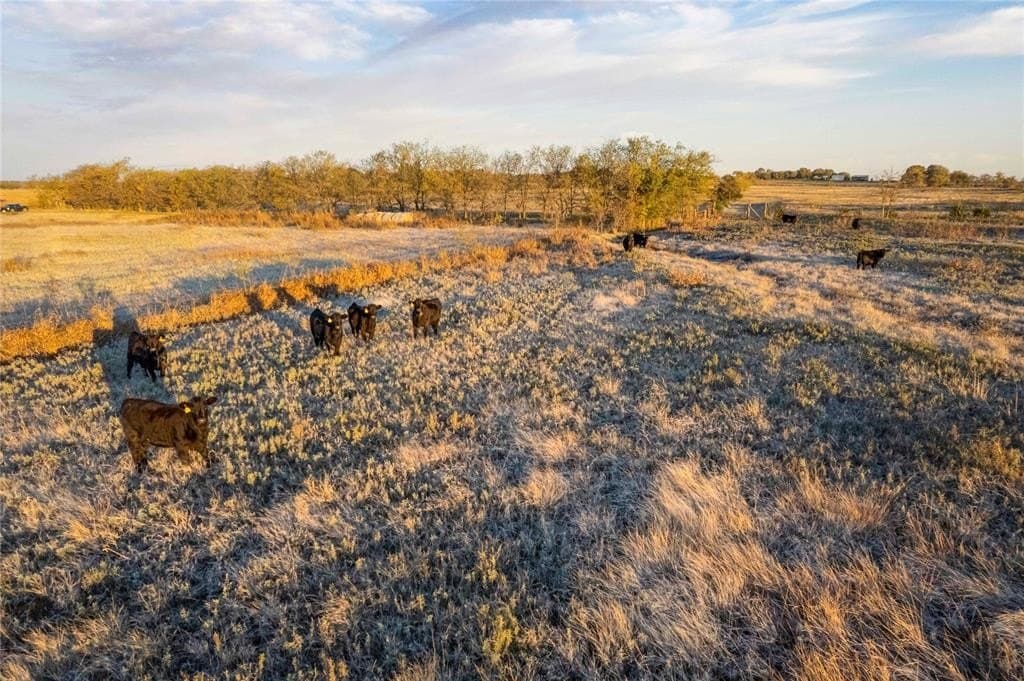 13.5 acres in Cooke County - photo 12