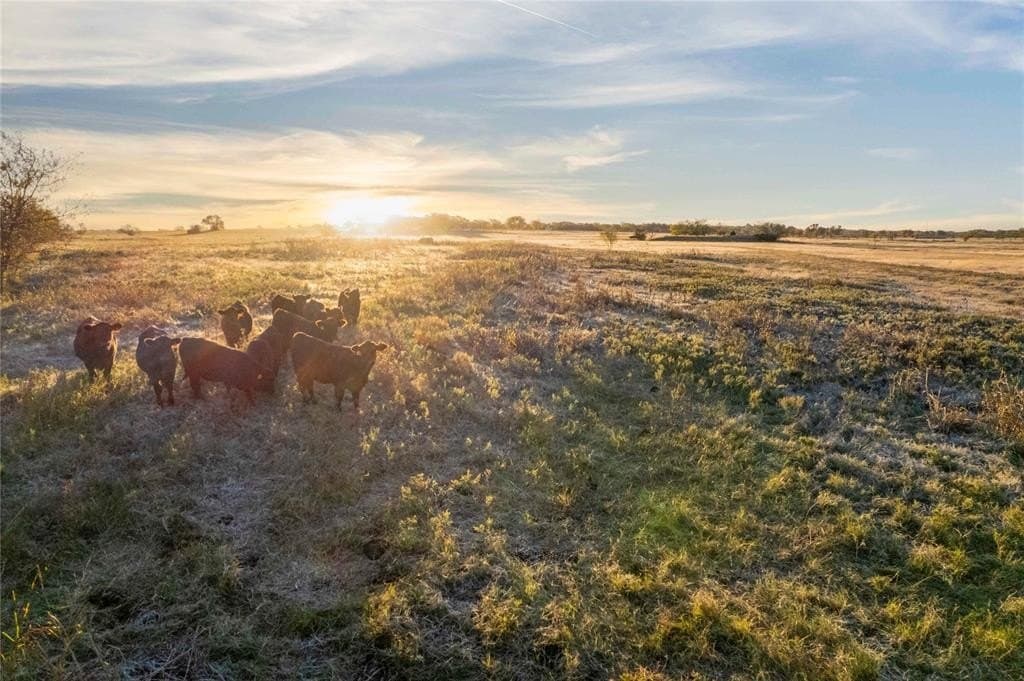 13.5 acres in Cooke County - photo 15