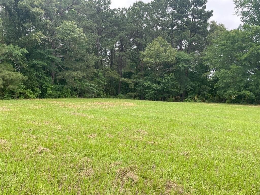 3.59 acres in Smith County - photo 2