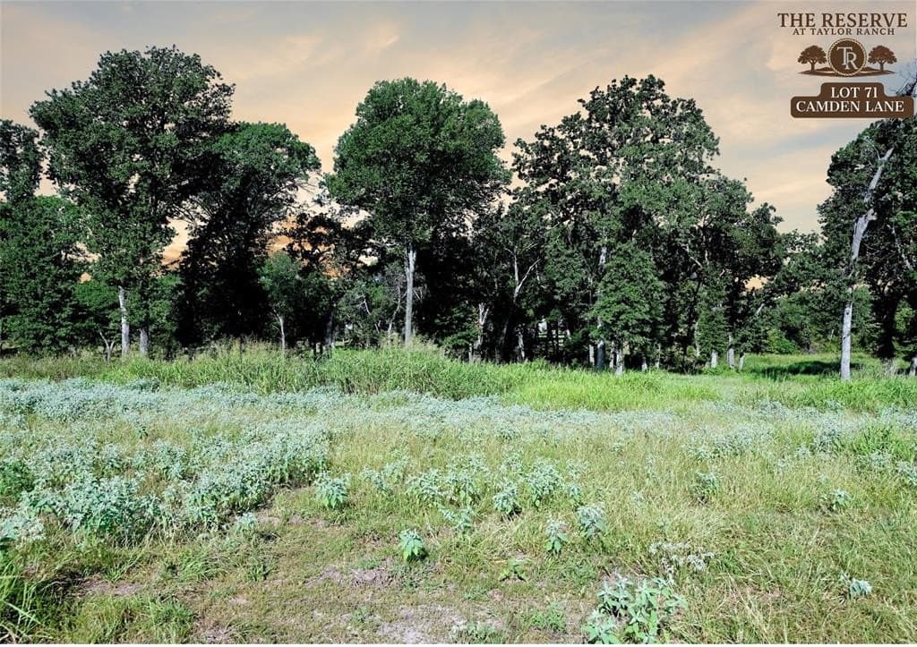 1.93 acres in Parker County - photo 2