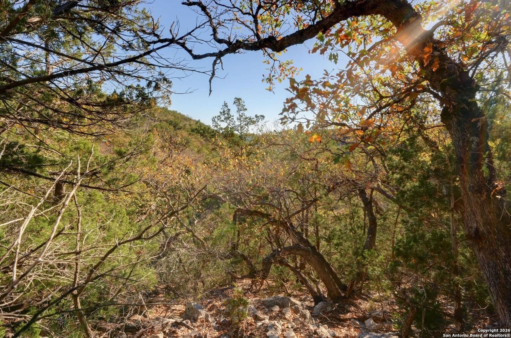 10.37 acres in Real County - photo 20