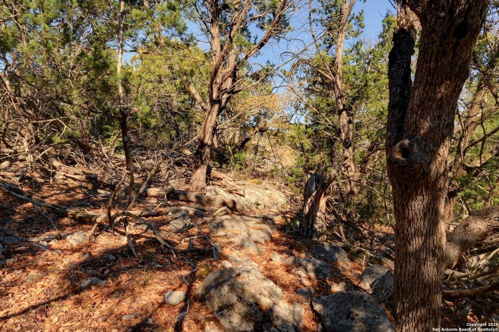 10.37 acres in Real County - photo 12