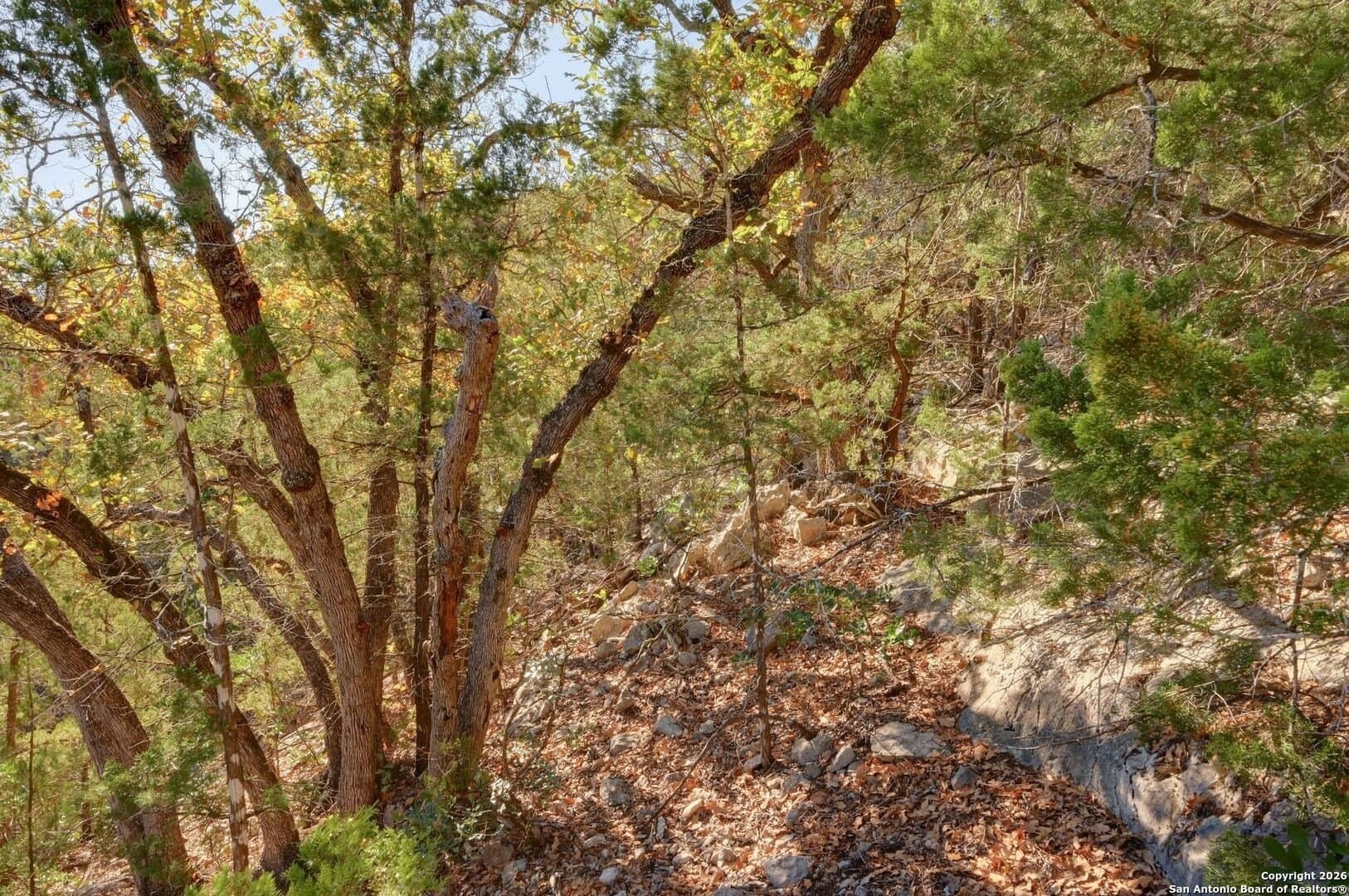 10.37 acres in Real County - photo 21