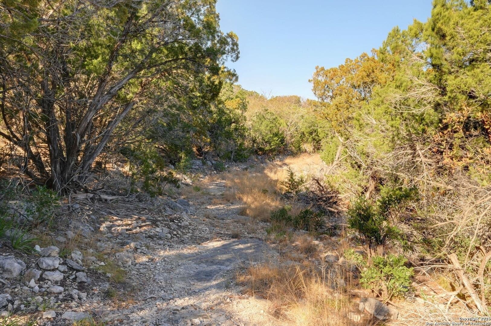 10.37 acres in Real County - photo 10