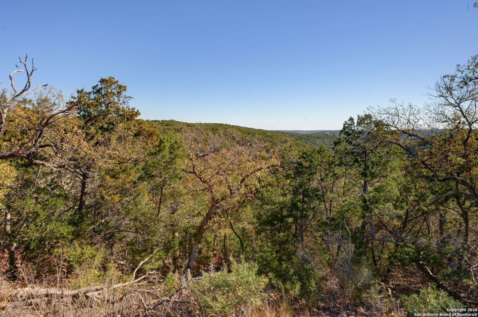 10.37 acres in Real County - photo 18