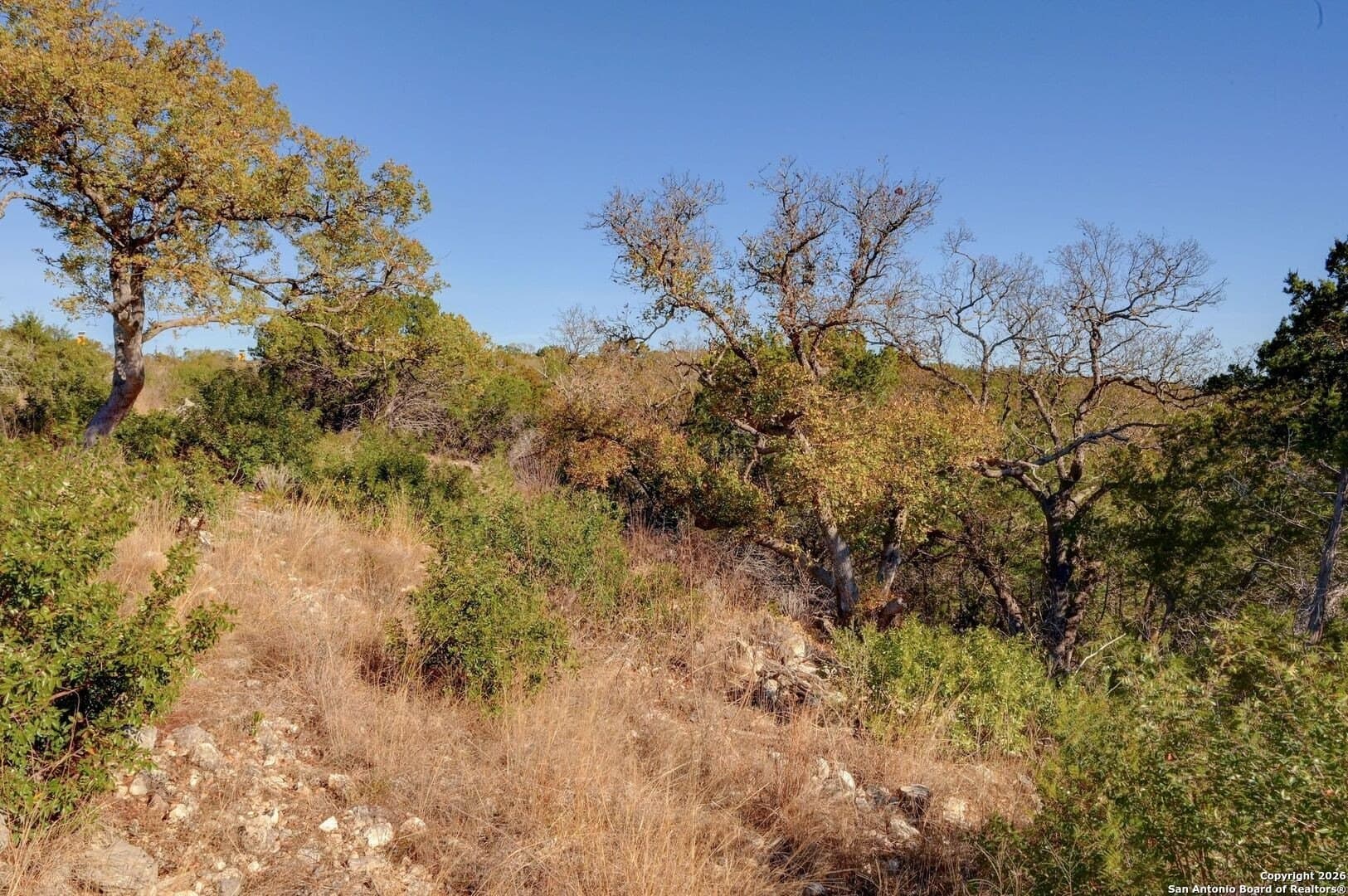 10.37 acres in Real County - photo 17