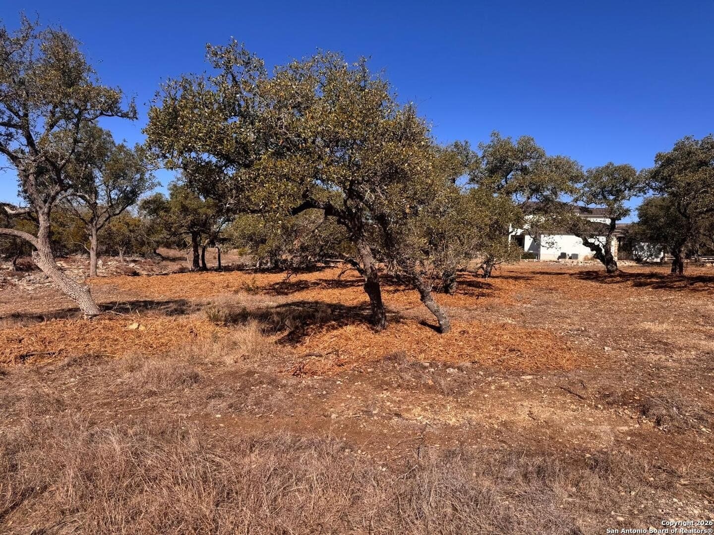 1.36 acres in Kendall County - photo 4