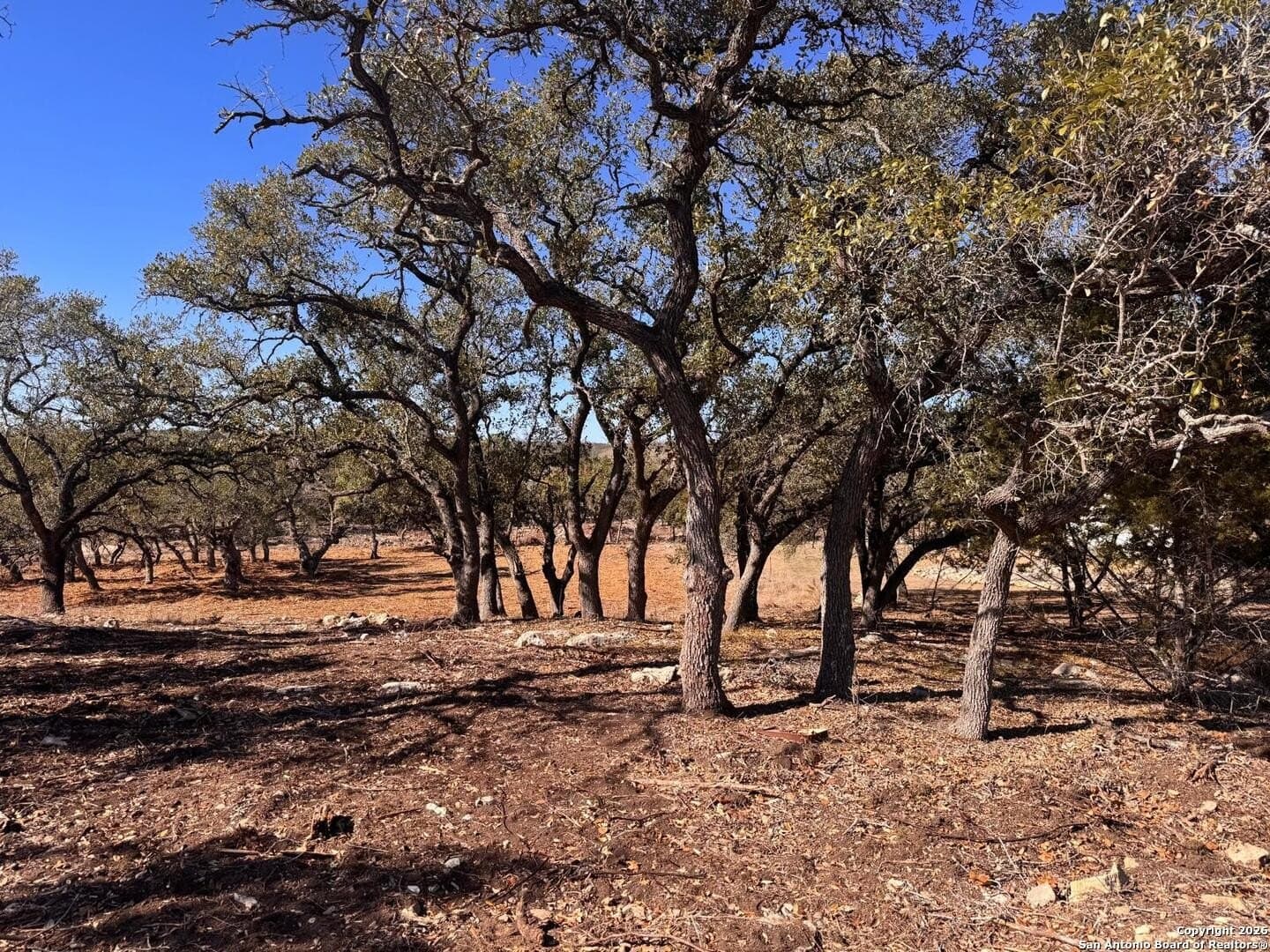 1.36 acres in Kendall County - photo 13
