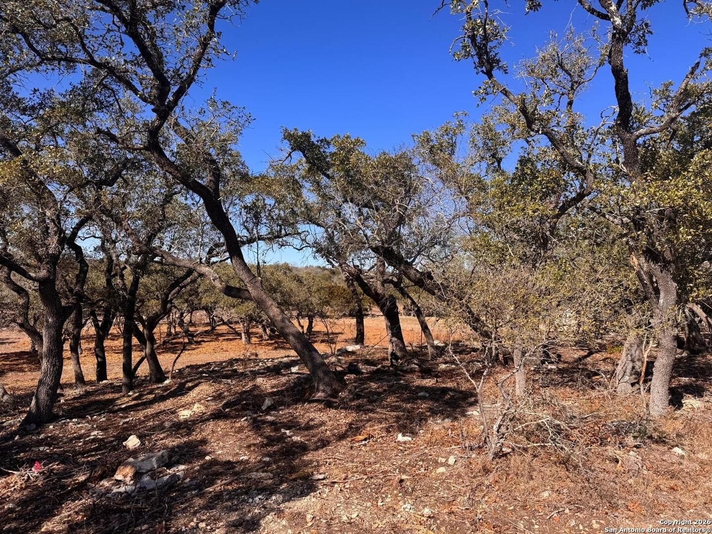 1.36 acres in Kendall County - photo 15