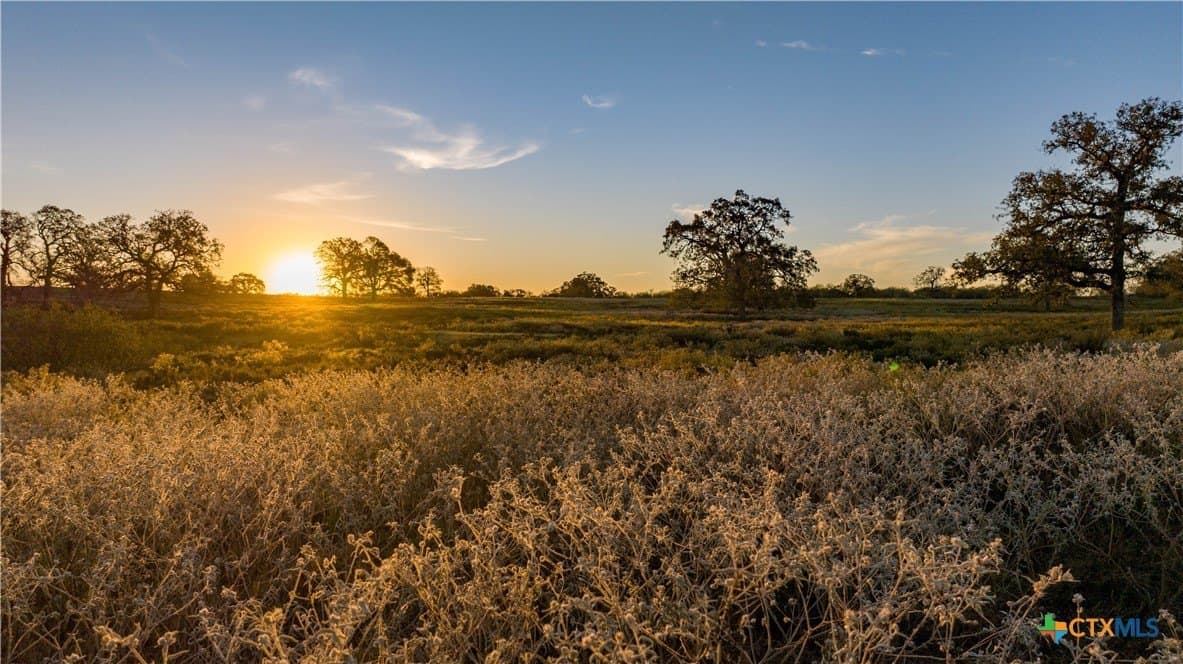164 acres in Guadalupe County - photo 4