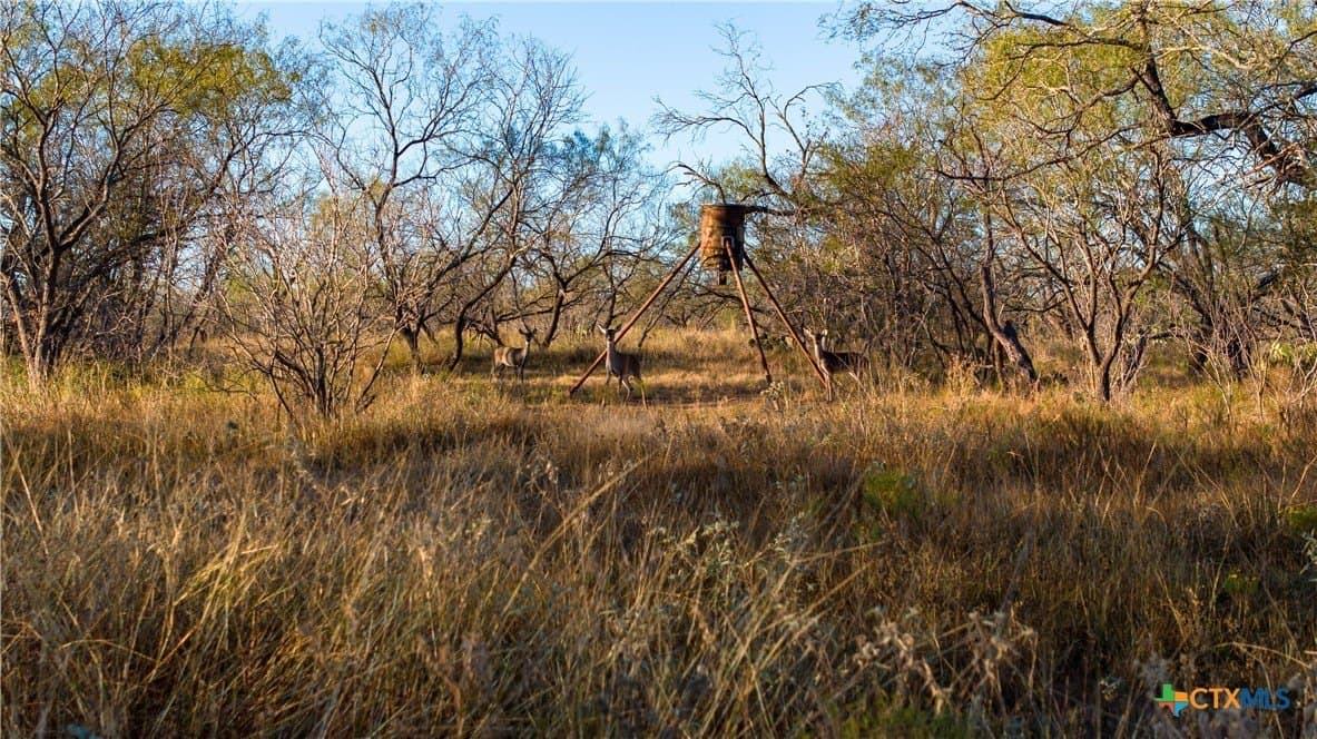 164 acres in Guadalupe County - photo 19