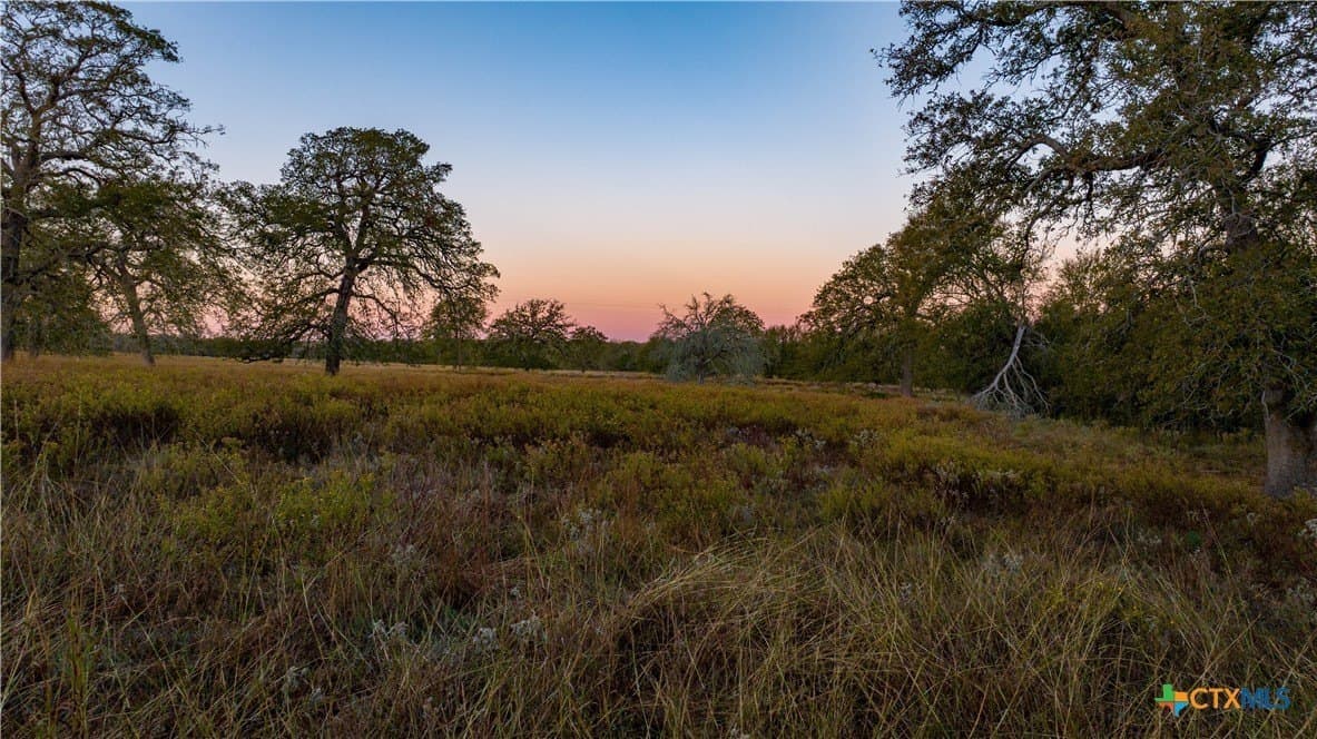 164 acres in Guadalupe County - photo 5