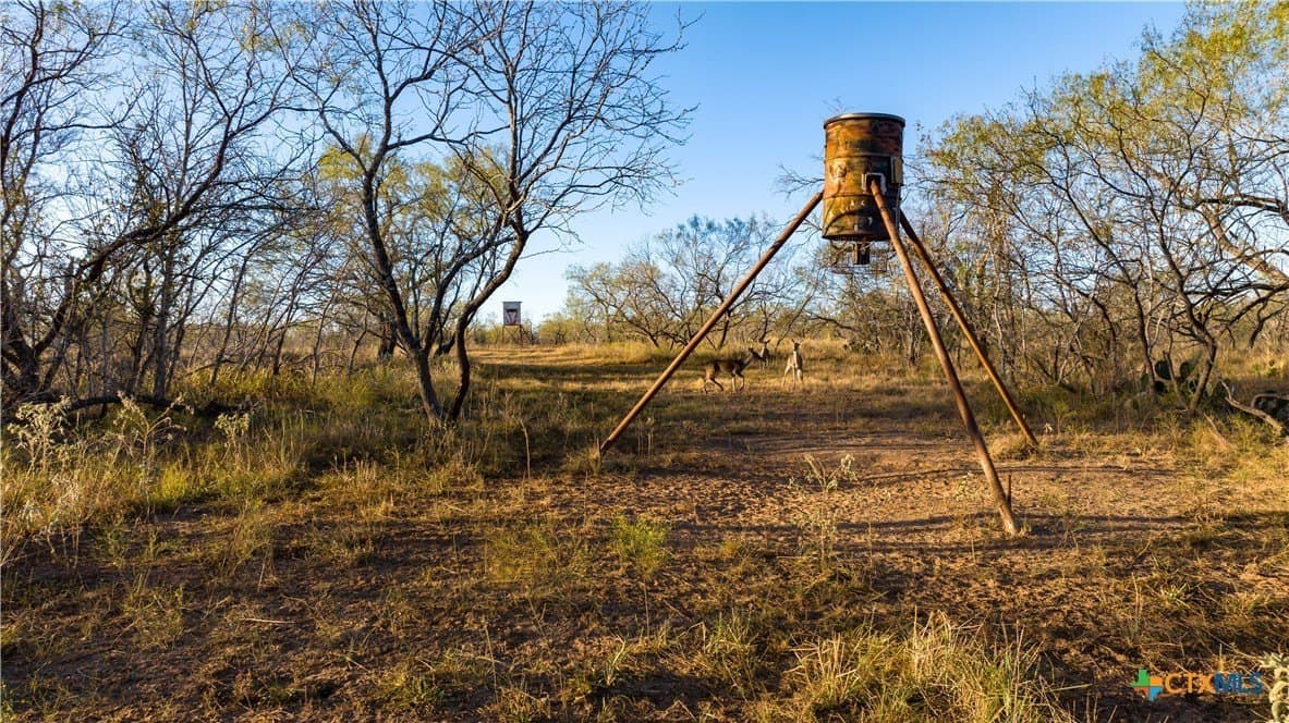 164 acres in Guadalupe County - photo 20