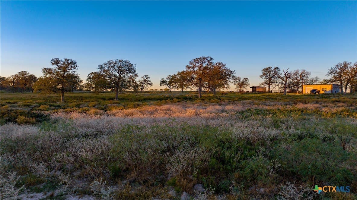 164 acres in Guadalupe County - photo 11