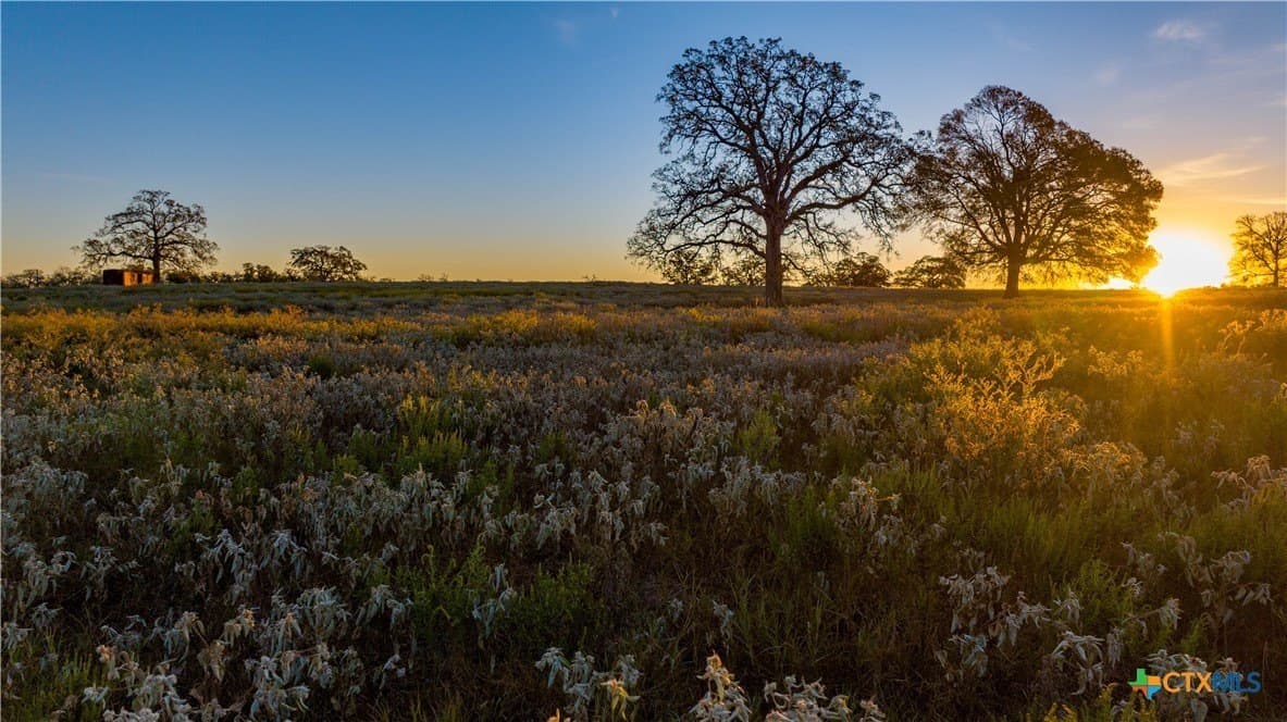 164 acres in Guadalupe County - photo 3