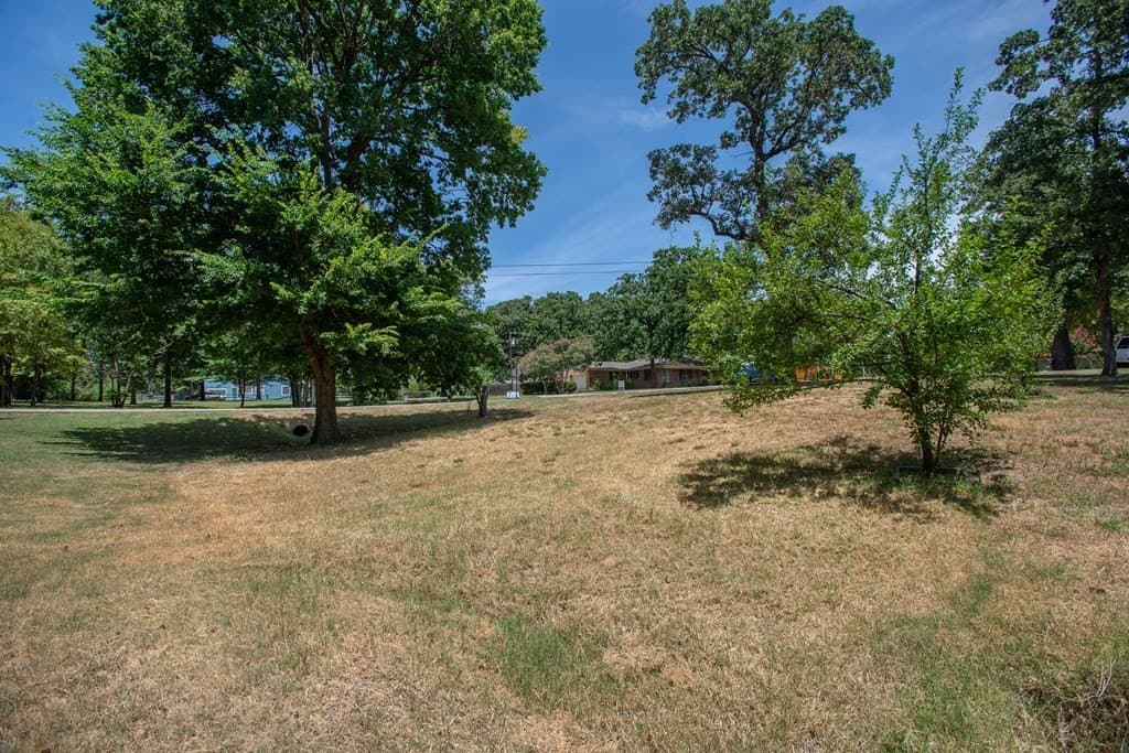 0.25 acres in Henderson County - photo 14