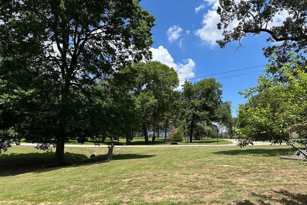0.25 acres in Henderson County - photo 18