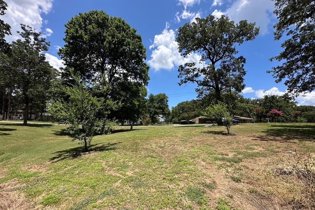 0.25 acres in Henderson County - photo 17