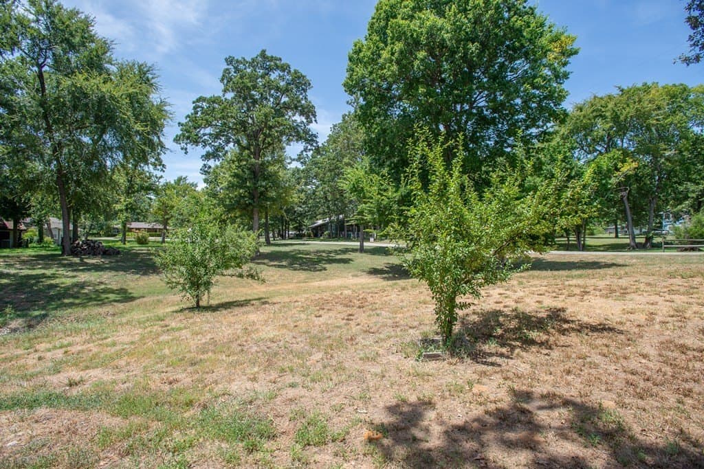 0.25 acres in Henderson County - photo 15