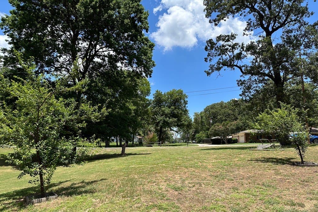 0.25 acres in Henderson County - photo 4