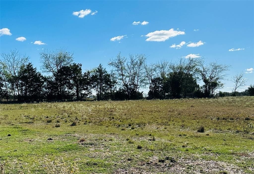 10.32 acres in Hopkins County - photo 6