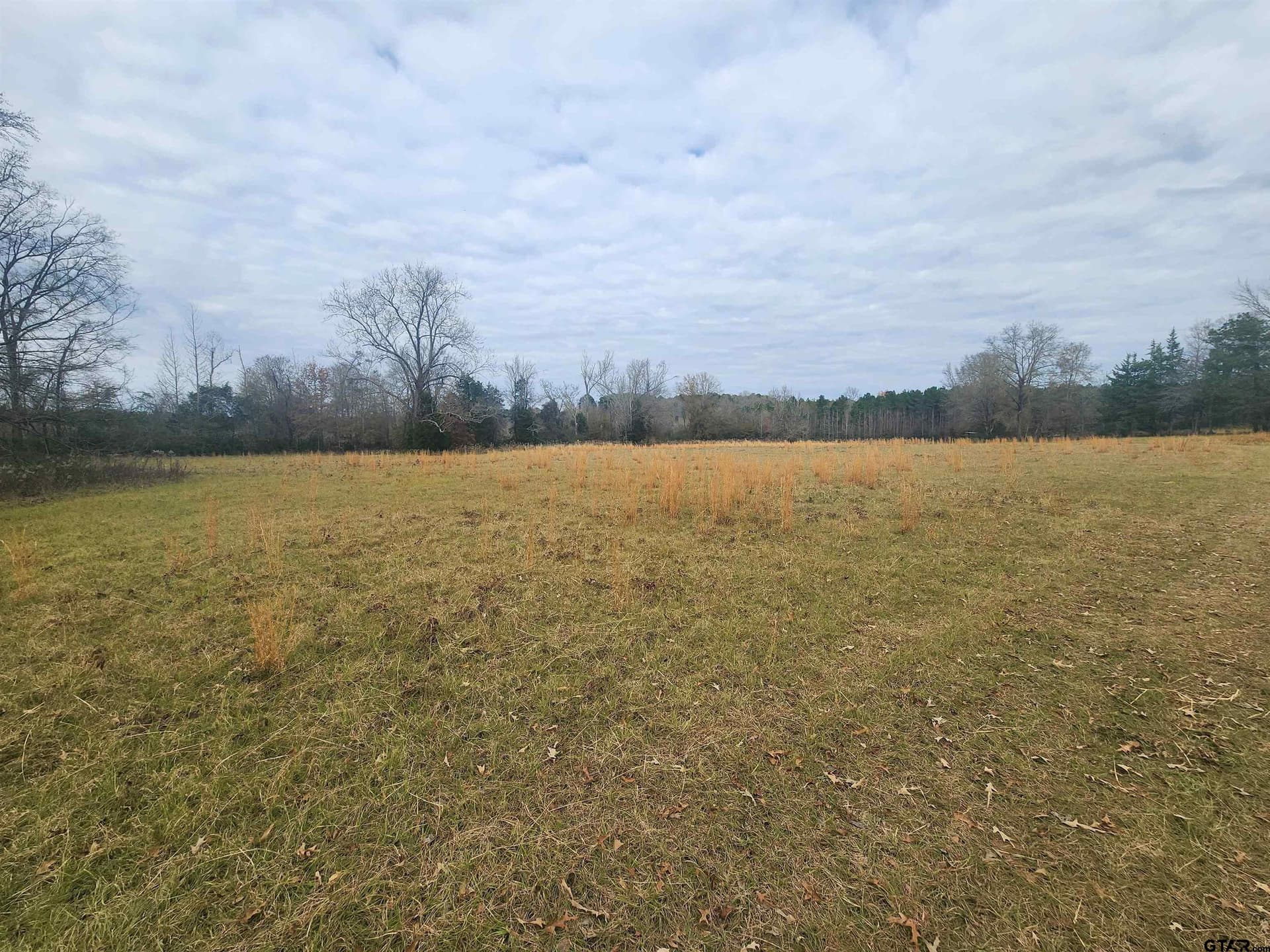 30 acres in Smith County - photo 12