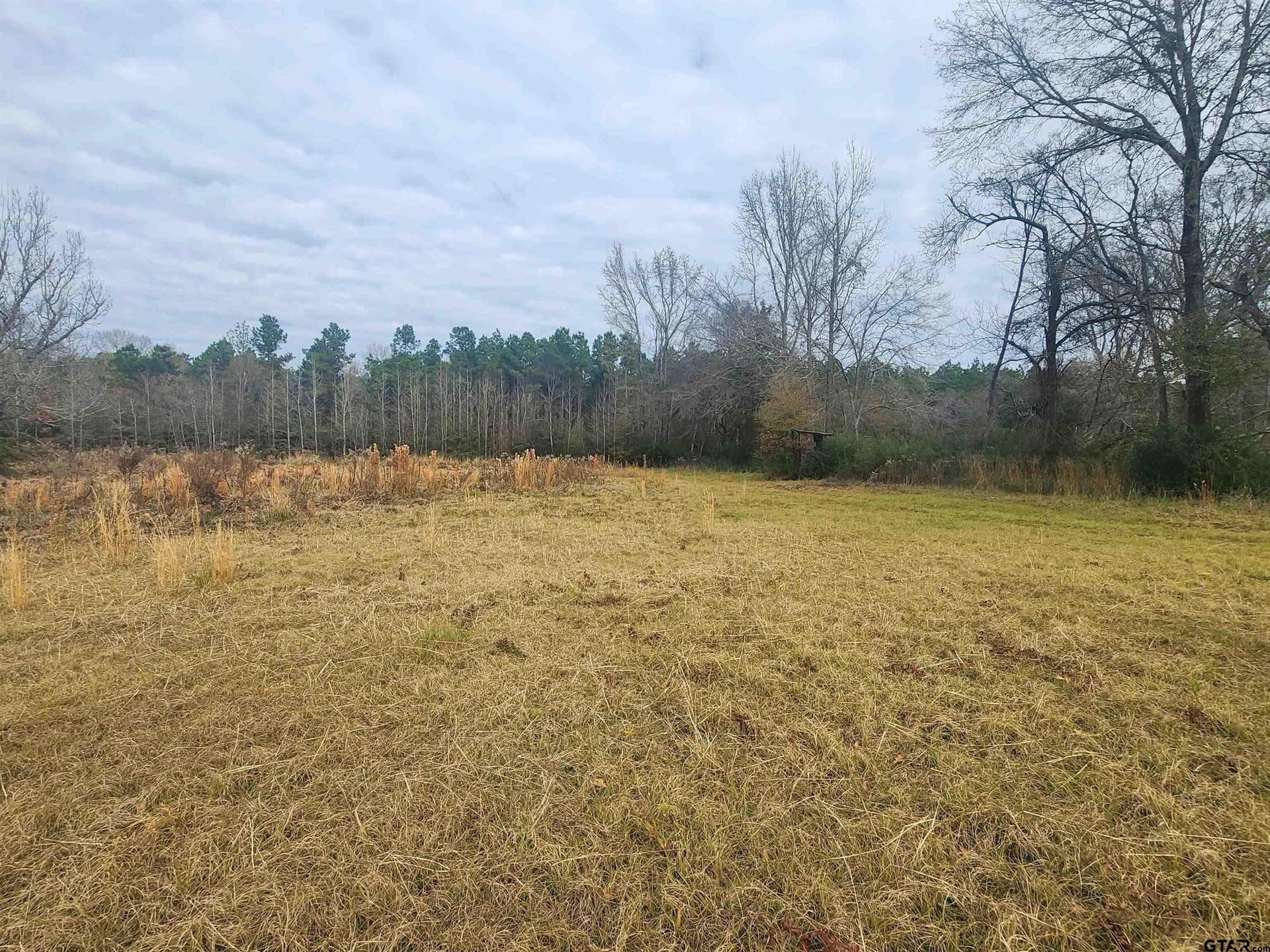 30 acres in Smith County - photo 3