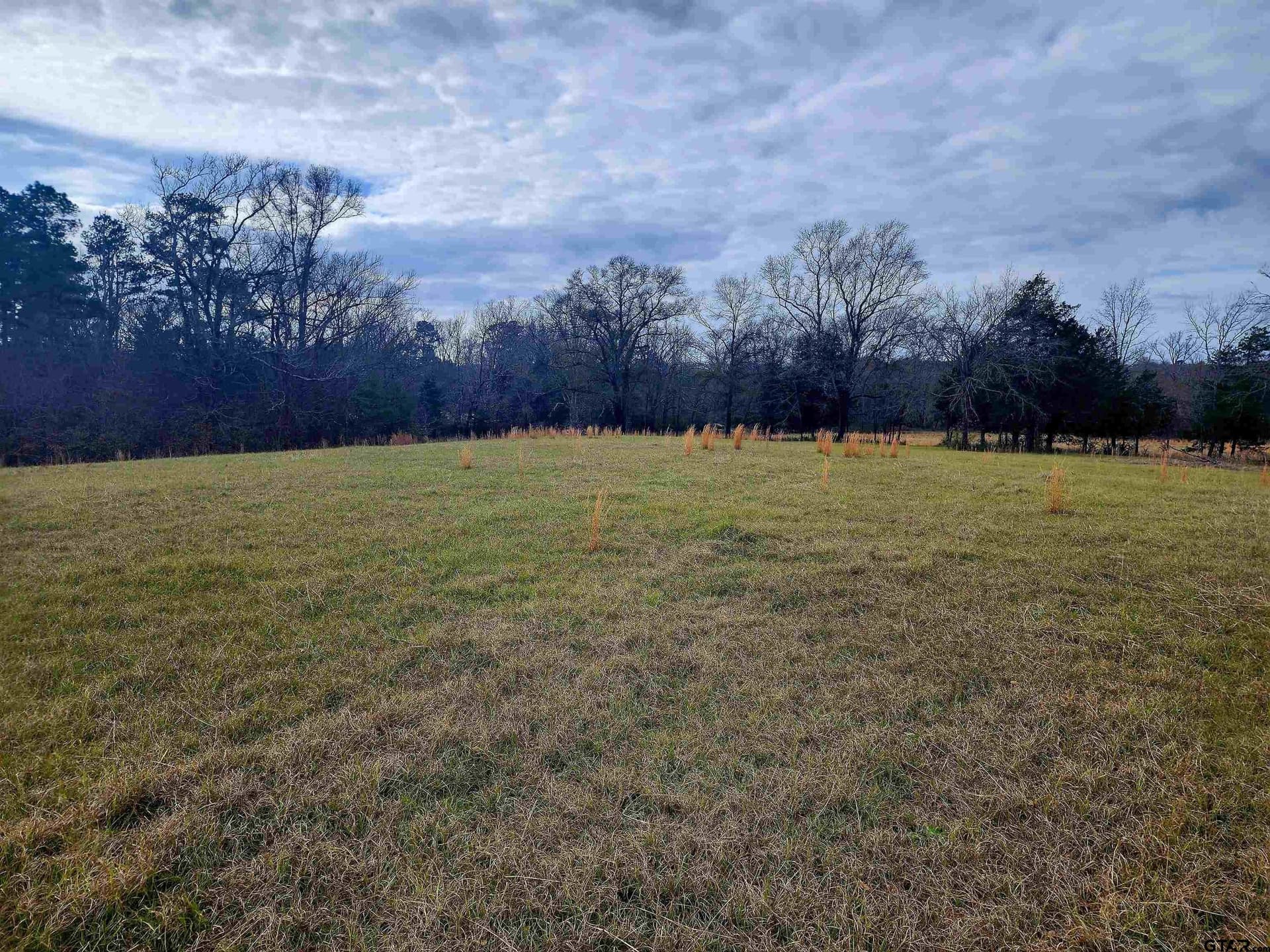 30 acres in Smith County - photo 6