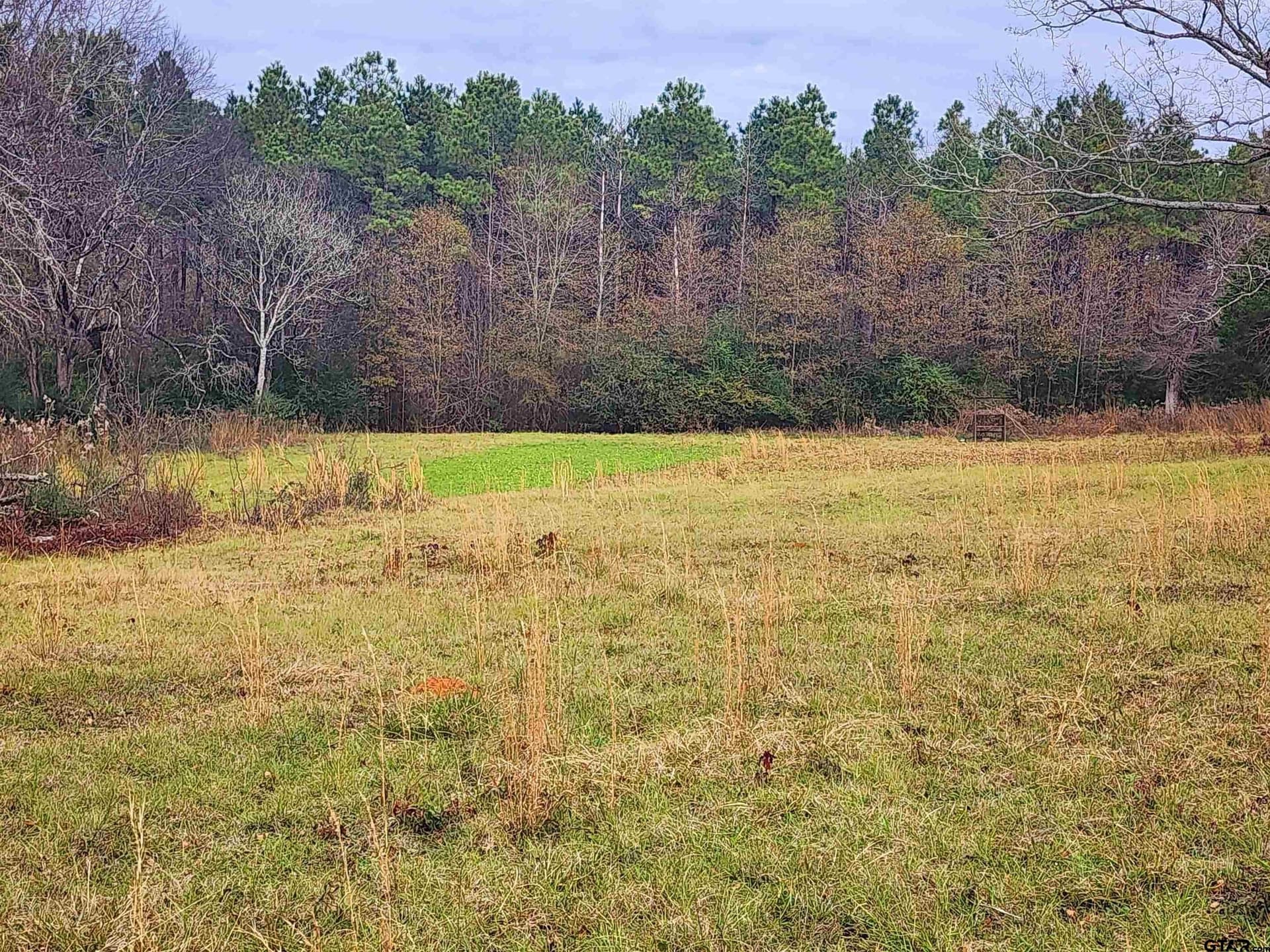 30 acres in Smith County - photo 2