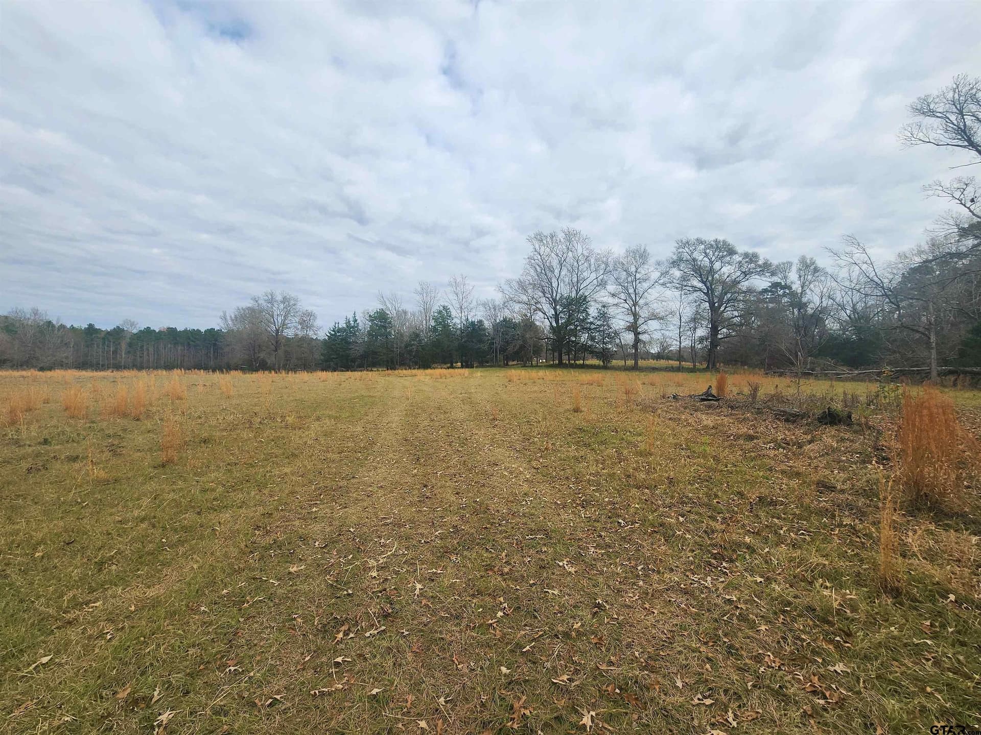 30 acres in Smith County - photo 7