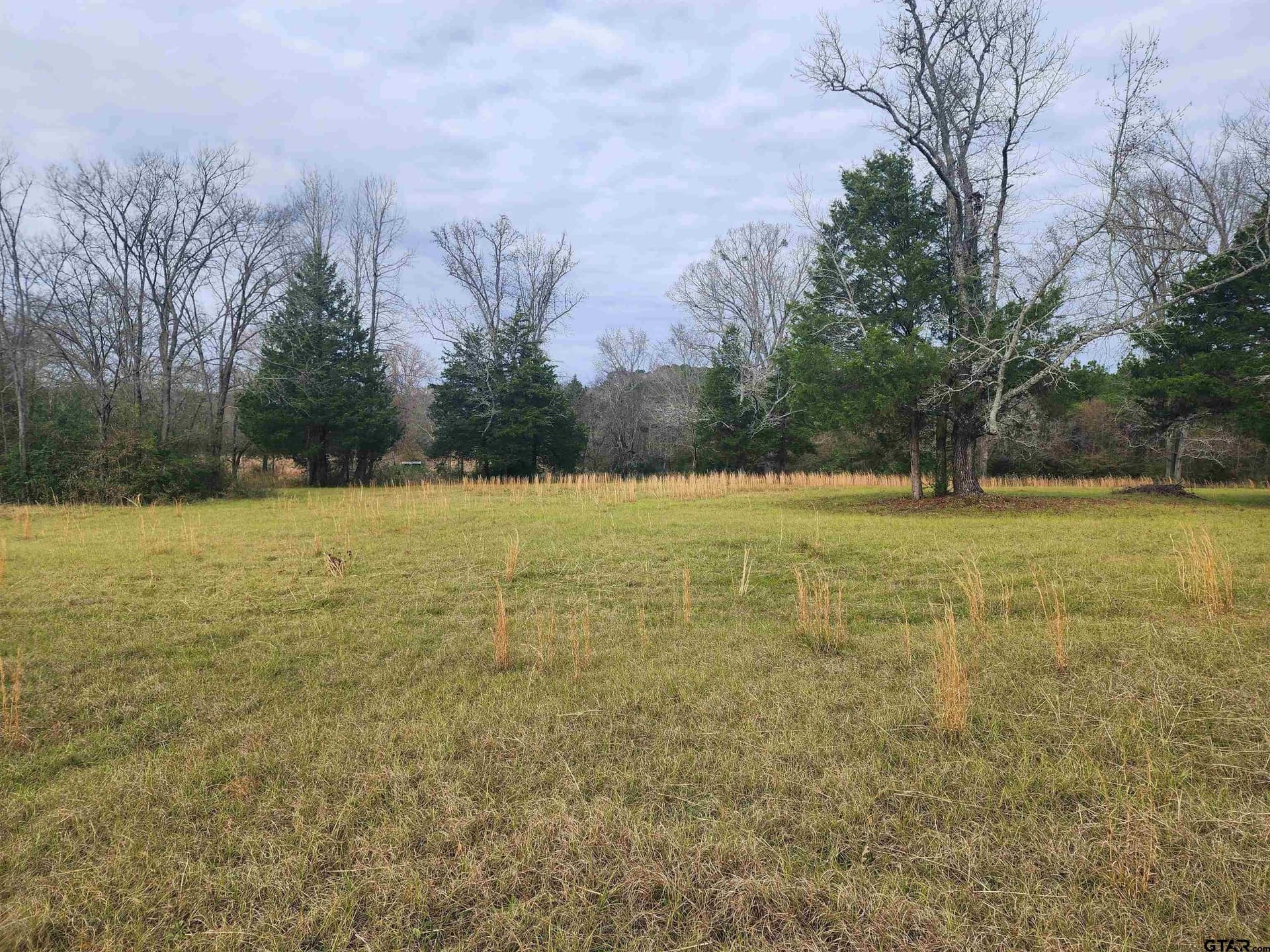 30 acres in Smith County - photo 5