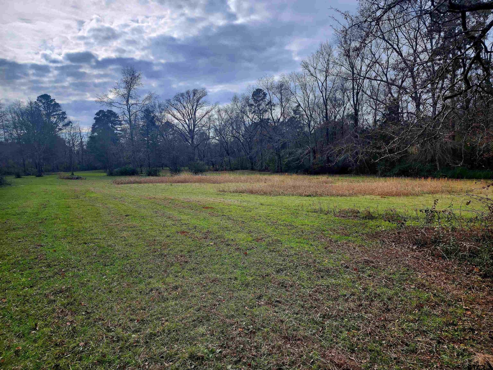 30 acres in Smith County - photo 13