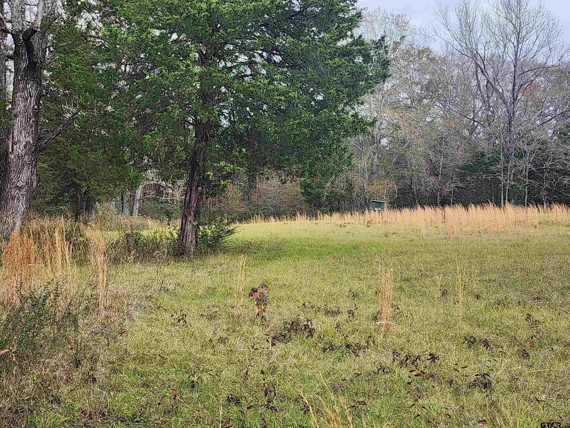 30 acres in Smith County - photo 8