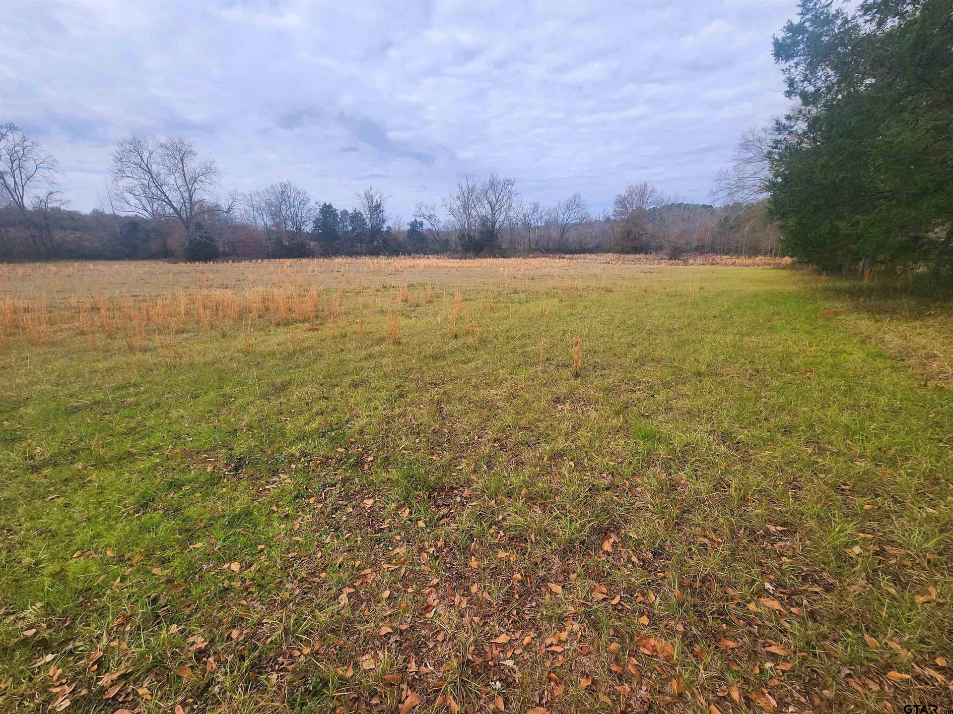 30 acres in Smith County - photo 4