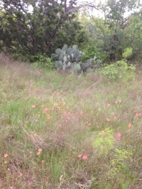 3.32 acres in Eastland County - photo 2